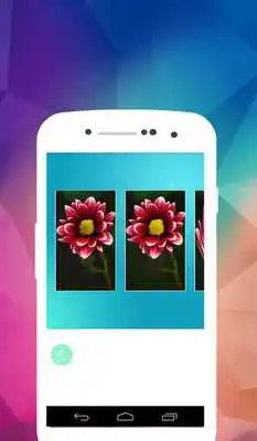 Play Effect For Prisma Free