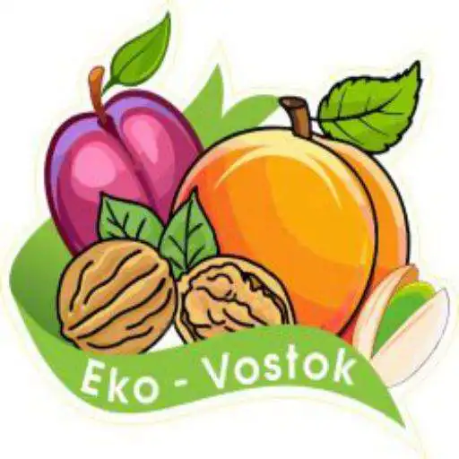 Play EKO-VOSTOK.RU APK