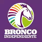 Free play online El Bronco APK