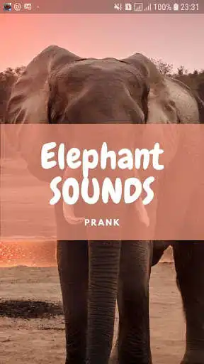 Play Elephant Sounds and Wallpapers  and enjoy Elephant Sounds and Wallpapers with UptoPlay