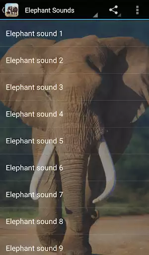 Play Elephant Sounds  and enjoy Elephant Sounds with UptoPlay