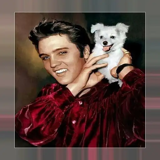 Play Elvis with favorite animals APK