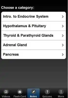 Play Endocrine