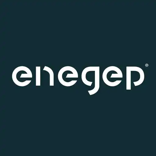 Play Enegep 2017 APK