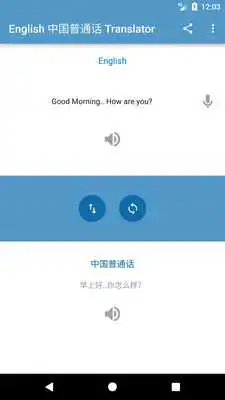 Play English Mandarin Chinese Translator