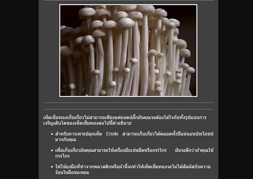 Play Enoki Mushroom Cultivation  and enjoy Enoki Mushroom Cultivation with UptoPlay