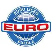 Free play online Euroliceo APK