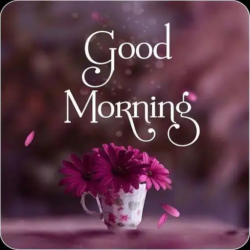 Play Everyday good morning wishes APK