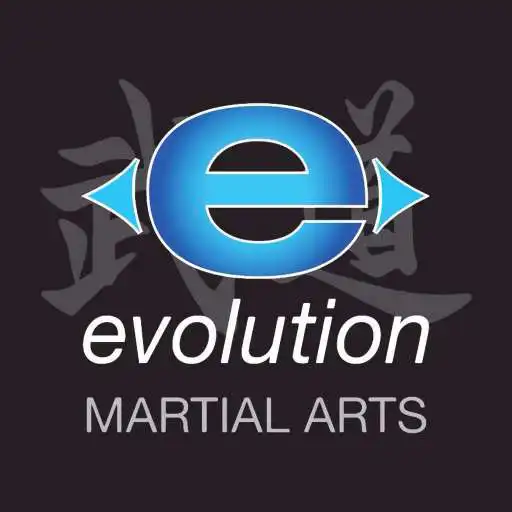 Play Evolution Martial Arts APK