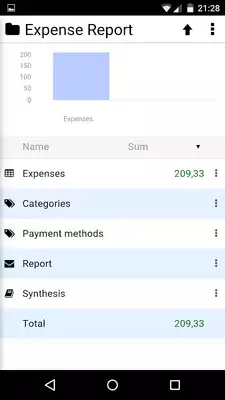 Play Expense Report