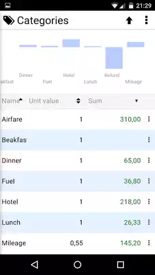 Play Expense Report