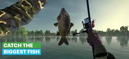 Play Expert Fisher  and enjoy Expert Fisher with UptoPlay