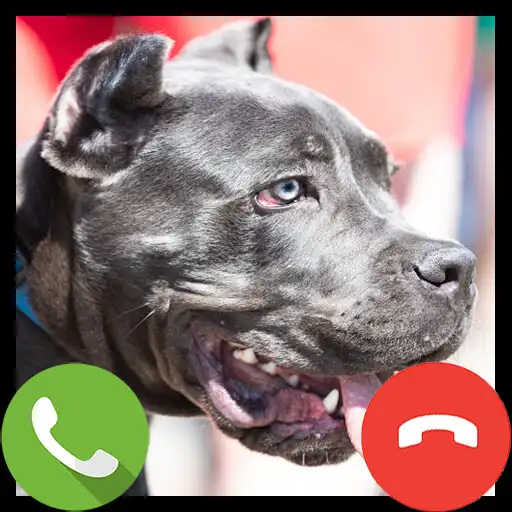 Play Fake Call Pitbull - Prank Call APK