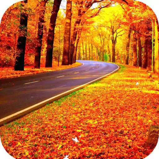 Play Fall Wallpaper HD APK