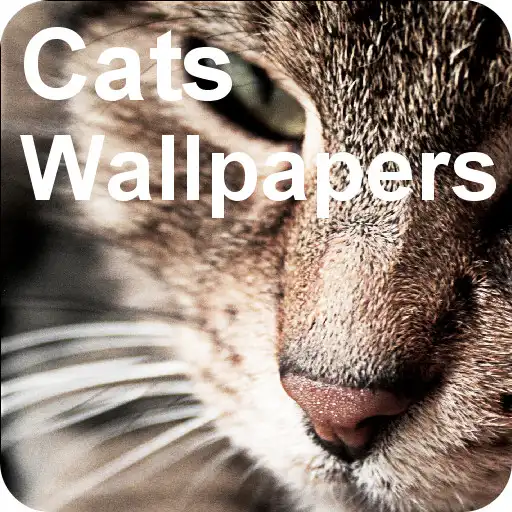 Play Fancy Cats Wallpapers incl. free editor APK