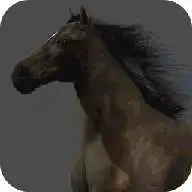 Free play online Farm Horse Simulation  APK