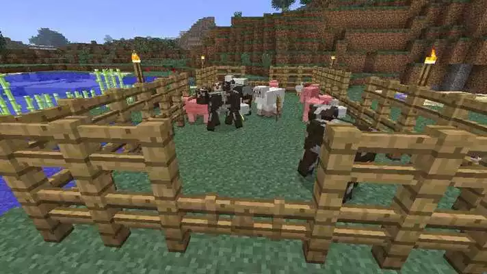 Play Farm Ideas - Minecraft