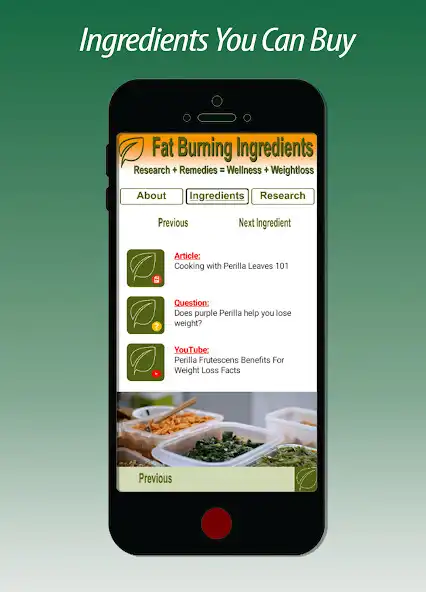 Play Fat Burning Ingredients Portal  and enjoy Fat Burning Ingredients Portal with UptoPlay