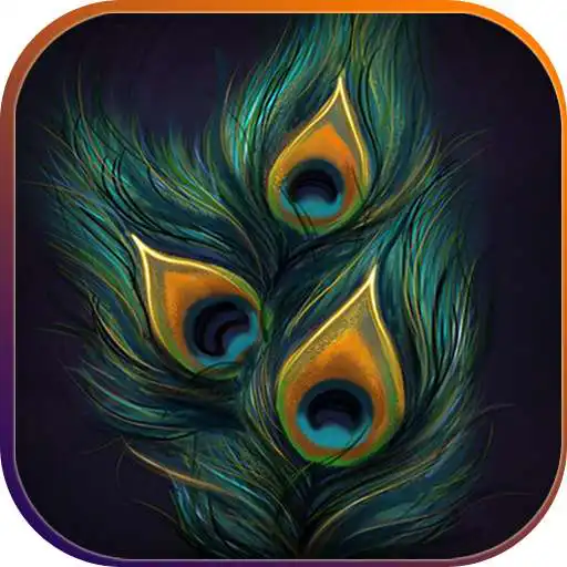 Play Feather Wallpaper HD, Peacock APK