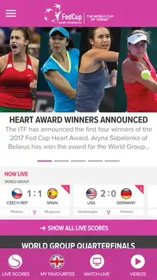 Play Fed Cup