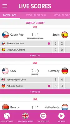 Play Fed Cup