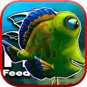 Free play online feed and grow - fish APK