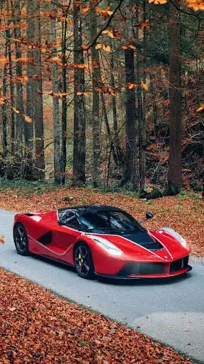 Play Ferrari Laferrari Car Wallpapers as an online game Ferrari Laferrari Car Wallpapers with UptoPlay