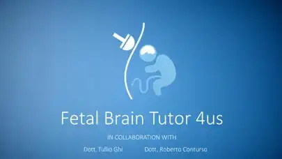 Play Fetal Brain Tutor 4us  and enjoy Fetal Brain Tutor 4us with UptoPlay