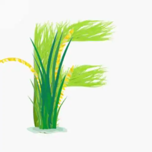 Play Fhasal : Buy Crop from farmers APK