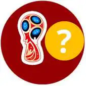 Free play online FIFA World Cup 2018 Predictions APK