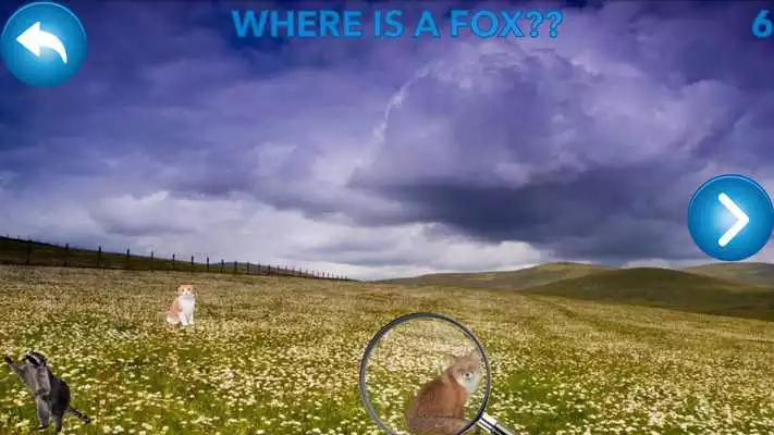 Play Find animals - look for cats