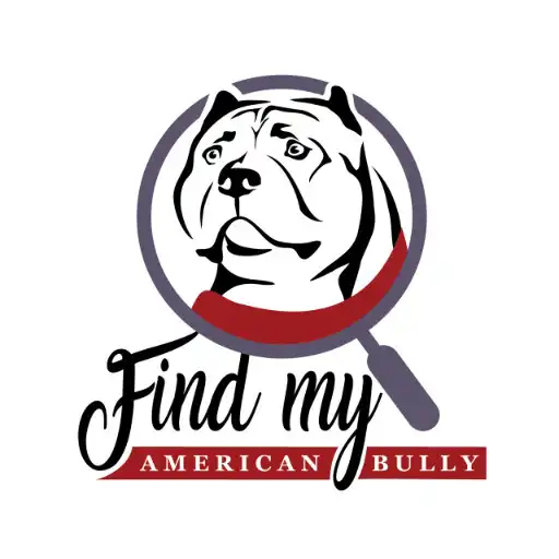 Play Find My American Bully APK