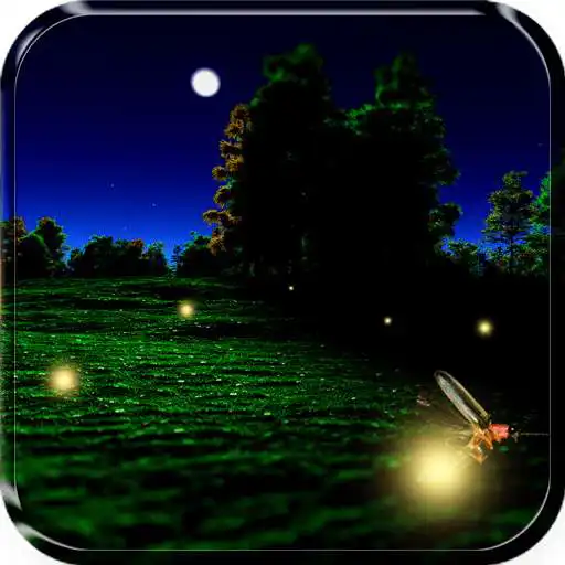 Free play online Fireflies Live Wallpapers  APK