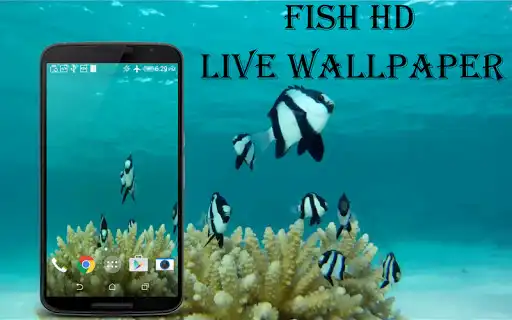 Play Fish HD Live Wallpaper