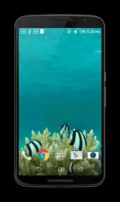 Play Fish HD Live Wallpaper