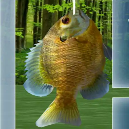 Play fishing 3d！ APK