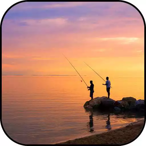 Play Fishing Wallpapers APK