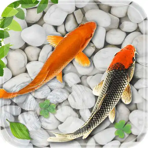 Free play online Fish Live Wallpaper 2018: Aquarium Koi Backgrounds APK