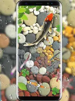 Play Fish Live Wallpaper 2018: Aquarium Koi Backgrounds