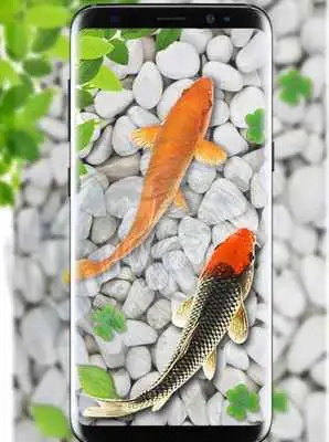 Play Fish Live Wallpaper 2018: Aquarium Koi Backgrounds