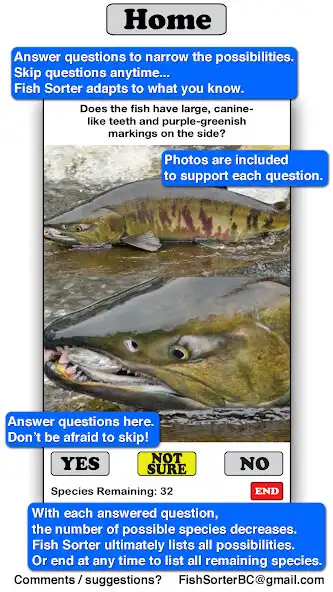 Play Fish Sorter as an online game Fish Sorter with UptoPlay