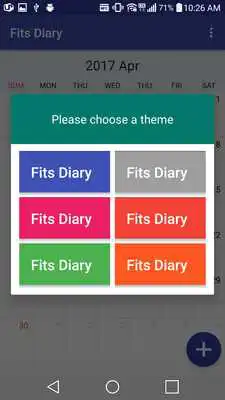 Play Fits Diary