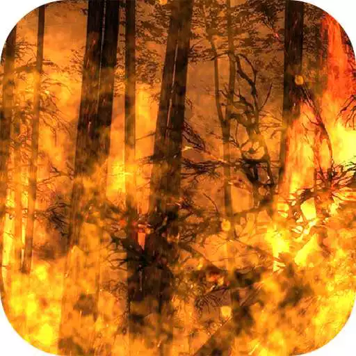 Run free android online Flames HD Live Wallpaper Free APK