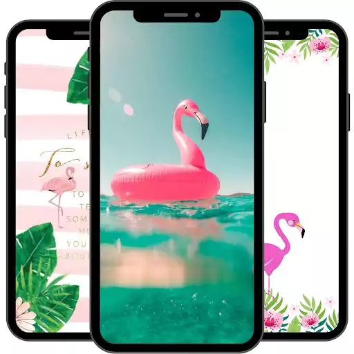 Play Flamingo Wallpaper as an online game Flamingo Wallpaper with UptoPlay