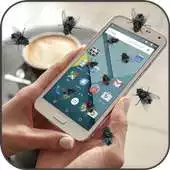 Free play online Flies Live Wallpaper APK