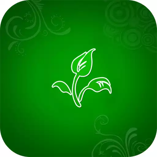 Free play online Floral wallpaper for whatsapp APK