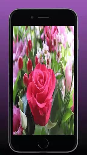 Play Floral Wallpaper  and enjoy Floral Wallpaper with UptoPlay