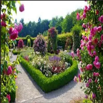 Play Flower Garden Design