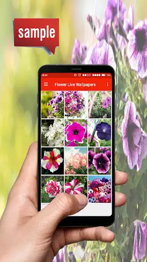 Play Flower live wallpapers.