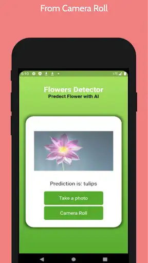 Play Flower Predictor as an online game Flower Predictor with UptoPlay